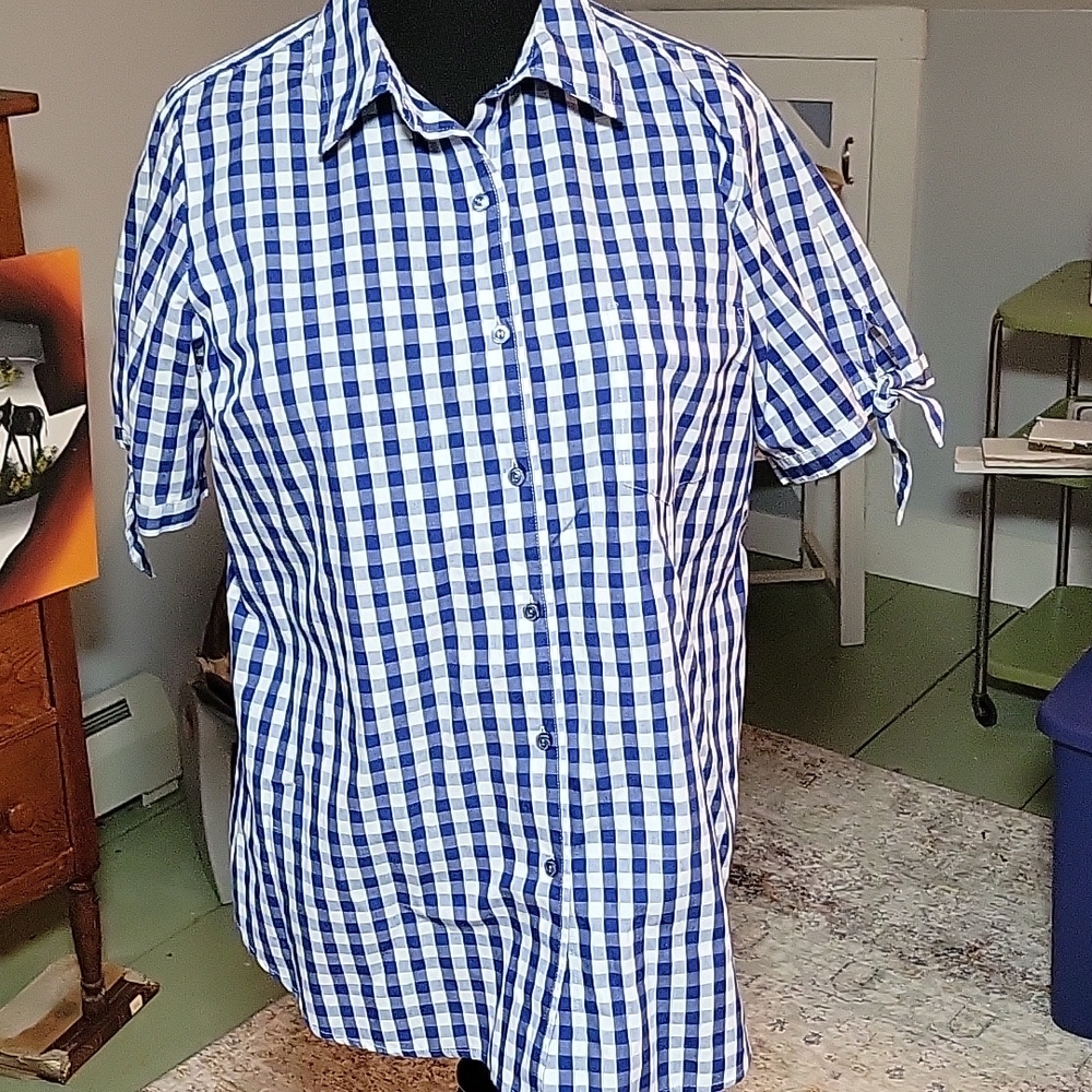 Woman's gingham blue plaid shirt